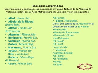 Municipios comprendidos
Los municipios, y pedanías, que comprende el Parque Natural de la Albufera de
Valencia pertenecen al Área Metropolitana de Valencia, y son los siguientes:
• Albal, Huerta Sur.
• Albalat de la Ribera,
Ribera Baja.
• Alfafar, Huerta Sur.
•El Tremolar
• Algemesí, Ribera Alta.
• Beniparrell, Huerta Sur.
• Catarroja, Huerta Sur.
• Cullera, Ribera Baja.
• Masanasa, Huerta Sur.
• Sedaví, Huerta Sur.
• Silla, Huerta Sur.
• Sollana, Ribera Baja.
•El Romaní
• Sueca, Ribera Baja.
•El Romaní
• Sueca, Ribera Baja.
Canal con barcas de la Albufera en la
pedanía valenciana de El Palmar.
•Mareny Blau
•Mareny de Barraquetes
•Mareny de Vilches
•Les Palmeres
•El Perelló
•El Pouet
•Vega de Mar
• Valencia.
•Castellar-Oliveral
•El Palmar
•El Perellonet
•Pinedo
•El Saler
 