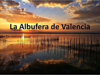 La Albufera de Valencia
 