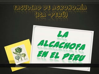 FACULTAD DE AGRONOMÍA                   (ICA –PERÚ) LA ALCACHOFA EN EL PERU 