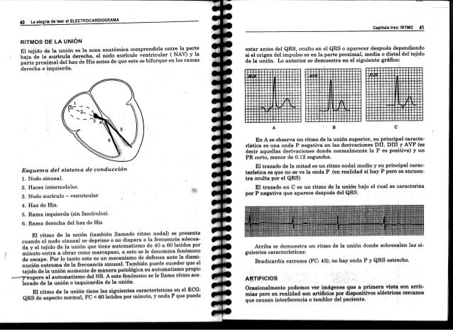 La Alegria De Leer Electrocardiograma 3ra Edicion