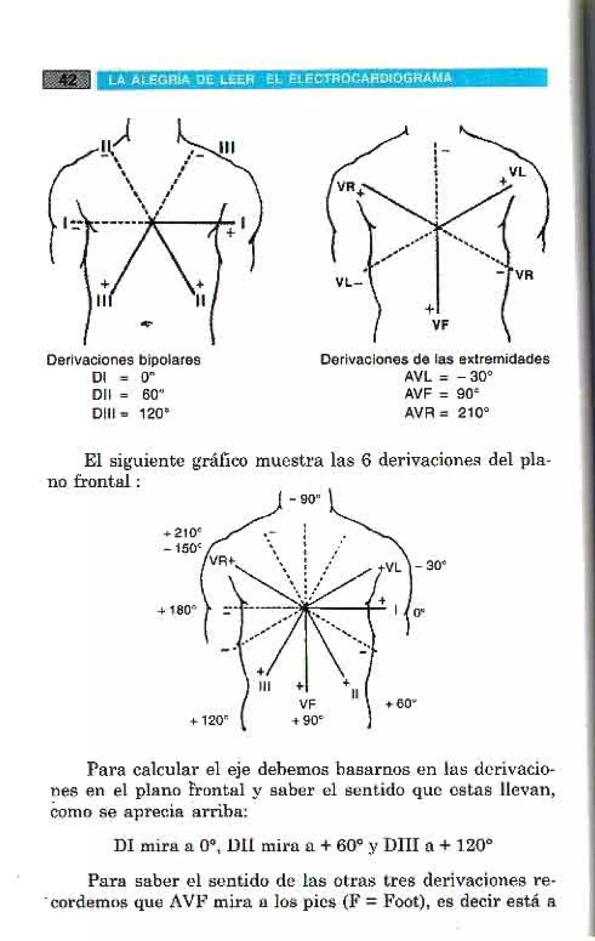LA ALEGRIA DE LEER EL ELECTROCARDIOGRAMA