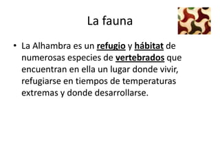 La fauna
• La Alhambra es un refugio y hábitat de
  numerosas especies de vertebrados que
  encuentran en ella un lugar donde vivir,
  refugiarse en tiempos de temperaturas
  extremas y donde desarrollarse.
 