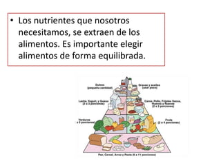 • Los nutrientes que nosotros
necesitamos, se extraen de los
alimentos. Es importante elegir
alimentos de forma equilibrada.