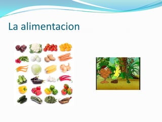 La alimentacion