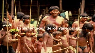 La alimentación de los Yanomamis.
 