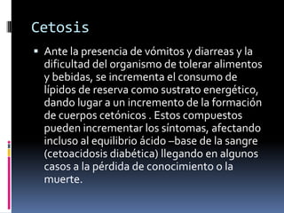 Cetosis
 Ante la presencia de vómitos y diarreas y la
dificultad del organismo de tolerar alimentos
y bebidas, se incrementa el consumo de
lípidos de reserva como sustrato energético,

dando lugar a un incremento de la formación
de cuerpos cetónicos . Estos compuestos
pueden incrementar los síntomas, afectando
incluso al equilibrio ácido –base de la sangre
(cetoacidosis diabética) llegando en algunos
casos a la pérdida de conocimiento o la
muerte.

 