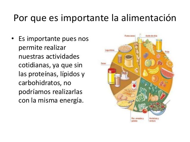 La alimentacion