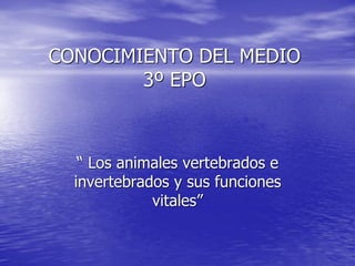 CONOCIMIENTO DEL MEDIO
3º EPO
“ Los animales vertebrados e
invertebrados y sus funciones
vitales”
 