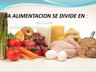 LA ALIMENTACION SE DIVIDE EN :
 NUTRICION VEGETAL

 NUTRICION ANIMAL

 ALIMENTACION HUMANA
 