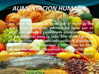 ALIMENTACION HUMANA

 Los seres humanos, al igual que el resto de los
 seres vivos, necesitan, además del agua que es
 vital, una variada y equilibrada alimentación que
 es fundamental para la vida. Una dieta correcta
 debe contener cantidades adecuadas de proteínas,
 lípidos, glúcidos, vitaminas y minerales. La base
 de una buena nutrición reside en el equilibrio, la
 variedad     y   la    moderación    de   nuestra
 alimentación.
 