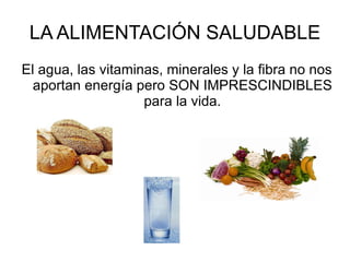 Debe ser: equilibrada, variada y suficiente en energía y nutrientes.