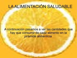 55% de hidratos de carbono