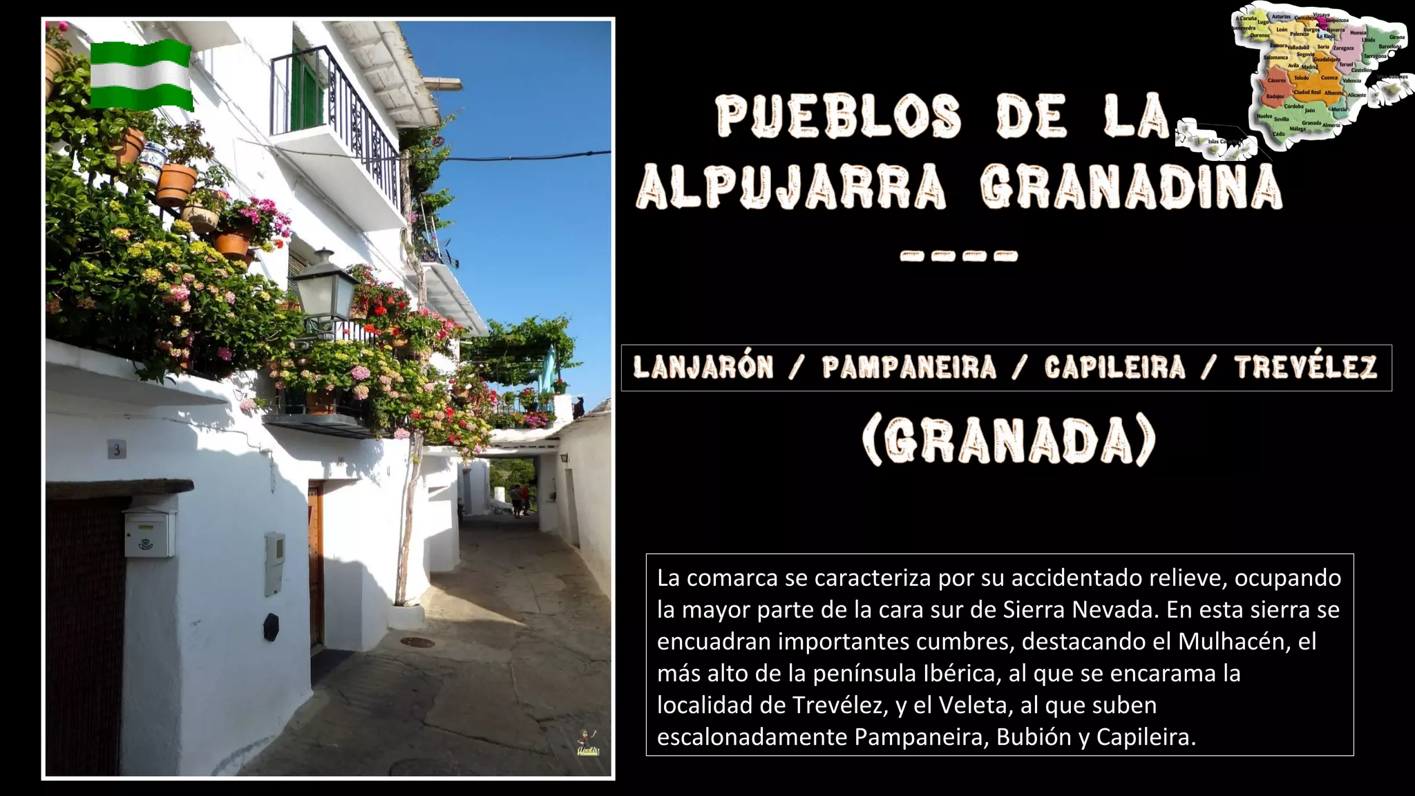 La comarca se caracteriza por su accidentado relieve, ocupando
la mayor parte de la cara sur de Sierra Nevada. En esta sierra se
encuadran importantes cumbres, destacando el Mulhacén, el
más alto de la península Ibérica, al que se encarama la
localidad de Trevélez, y el Veleta, al que suben
escalonadamente Pampaneira, Bubión y Capileira.