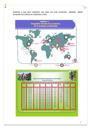 asiáticas y que para mantener una cada vez más numerosa                                               clientela   deben
aumentar los cultivos en Colombia y Perú.




                              AREA CULTIVADA DE AMAPOLA EN HECTÁREAS
                                                DISTRIBUCION MUNDIAL



          AÑO    AFGANISTAN      PAKISTAN     LAO PDR    MYANMAR       TAILANDIA    VIET     COLOMBIA    MEXICO
                                                                                    NAM


         1990      41,300         7,488       30,580     150,100        1,782       18,000    1,160      5,450
         1991      50,800         7,962       29,625     160,000        3,727       17,000   6,578       3,765
         1992      49,300         9,493       19,190     153,700        3,016       12,199   5,008       3,310
         1993      58,300         7,329       26,040     165,800         998        4,268    15,091      3,960
         1994      71,470         5,759       18,520     146,600         478        3,066    5,226       5,795
         1995      53,759         5,091       19,650     154,070         168         1,880   4,916       5,050
         1996      56,824          873        21,601     163,000         368         1,743   6,584       5,100
         1997      58,416          874        24,082     155,150         352          340    7,350       4,000
         1998      63,674          950        26,837     130,300         716          442    6,500       5,500
         1999      90,583          284        22,543      89,500         702          442    6,500       3,600
         2000      82,171          260        19,052     108,700         890                 4,300       1,900
         2001      7,606           213        17,255     105,000         820                 4,100       4,400
         2002      74,100          622        14,000      81,400         750                 4,100       2,700
         2003      80,000         2,500       12,000      62,200                                         4,800

          Fuente: Elaboración propia, con base en datos oficiales de UNODC-Viena 2004.




                                                                                                                    7
 