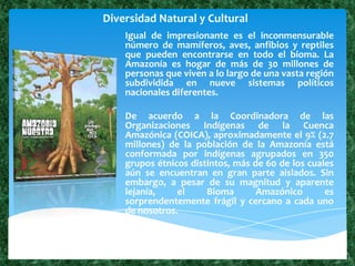 La Amazonia como Reserva de biodiversidad 5to. "E" | PPTX