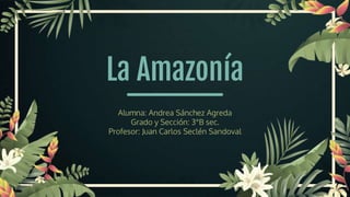 La Amazonía
Alumna: Andrea Sánchez Agreda
Grado y Sección: 3°B sec.
Profesor: Juan Carlos Seclén Sandoval
 