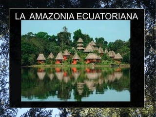 LA AMAZONIA ECUATORIANA
 