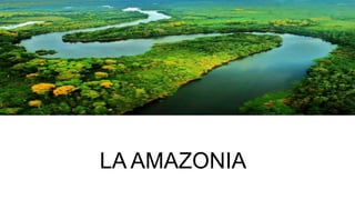 LA AMAZONIA
 