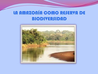 LA AMAZONÍA COMO RESERVA DE
BIODIVERSIDAD
 