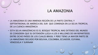 La amazonia | PPTX