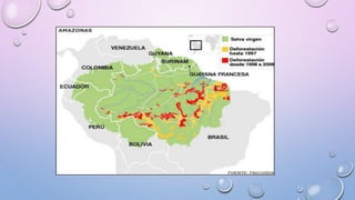 La amazonia | PPTX