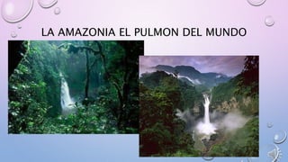 LA AMAZONIA EL PULMON DEL MUNDO
 
