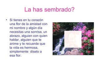 La has sembrado? Si tienes en tu corazón una flor de la amistad con mi nombre y algún día necesitas una sonrisa, un abrazo, alguien con quien hablar, alguien que te anime y te recuerde que la vida es hermosa, simplemente  díselo a esa flor. 