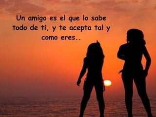 Un amigo es el que lo sabe todo de ti, y te acepta tal y como eres..