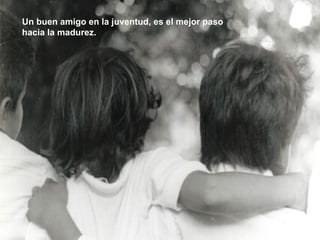 Un buen amigo en la juventud, es el mejor paso hacia la madurez. 