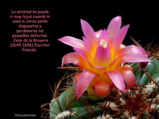 Oroya peruviana La amistad no puede ir muy lejos cuando ni unos ni otros están dispuestos a perdonarse los pequeños defectos. Jean de la Bruyere (1645-1696) Escritor francés.  