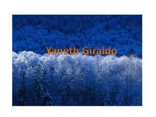 Yaneth Giraldo 