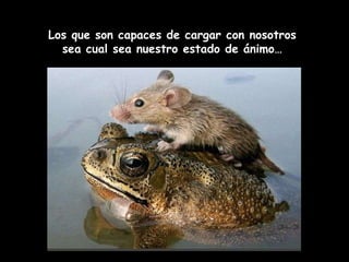 Los que son capaces de cargar con nosotros sea cual sea nuestro estado de ánimo… 