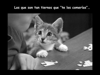 Los que son tan tiernos que “te los comerías”… 