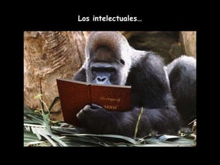 Los intelectuales… 
