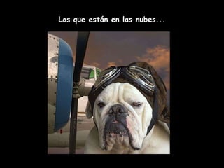 Los que están en las nubes... 