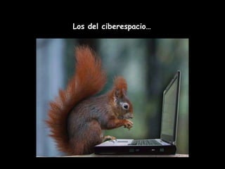 Los del ciberespacio… 