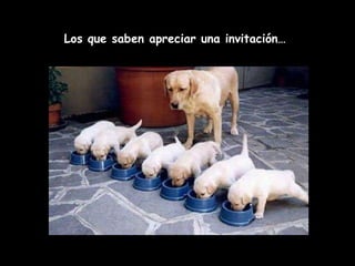 Los que saben apreciar una invitación…  