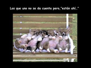 Los que uno no se da cuenta pero,”están ahí…” 