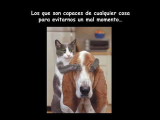 Los que son capaces de cualquier cosa para evitarnos un mal momento… 