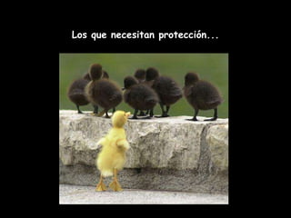 Los que necesitan protección... 
