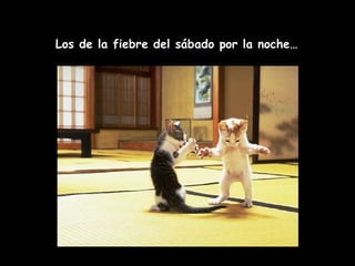 Los de la fiebre del sábado por la noche… 