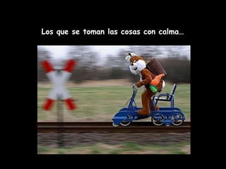 Los que se toman las cosas con calma… 