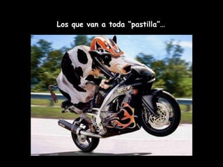 Los que van a toda “pastilla”… 