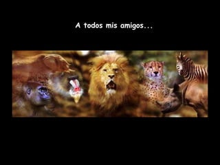 A todos mis amigos... 