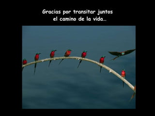 Gracias por transitar juntos  el camino de la vida… 