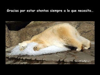 Gracias por estar atentos siempre a lo que necesito… 