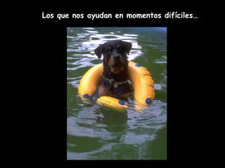 Los que nos ayudan en momentos difíciles… 