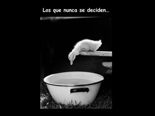 Los que nunca se deciden… 