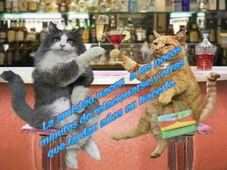 La amistad nacen  a los pocos minutos de relacionarse y otras que tardan años en hacerlo. 