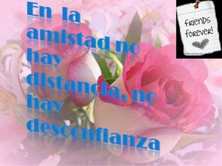 En  la amistad no hay distancia, no hay desconfianza 